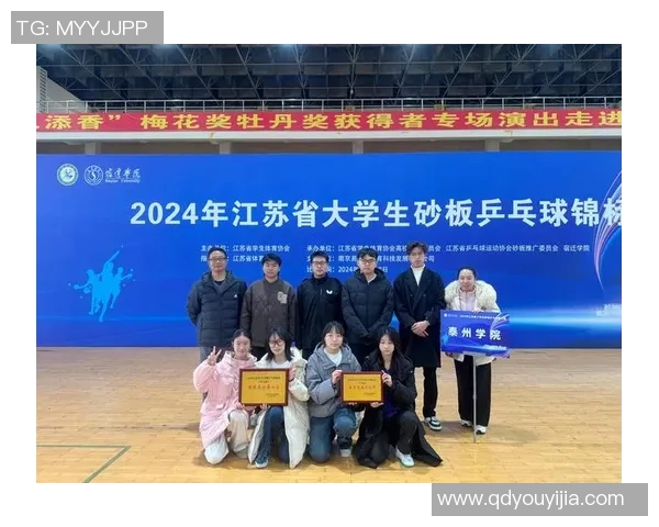 南京乒乓球队的力量与荣耀：探索乒乓球运动的精神与发展之路