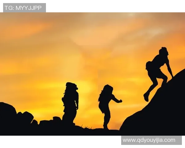 深度对话杨磊排球人生的成长与挑战之路探索